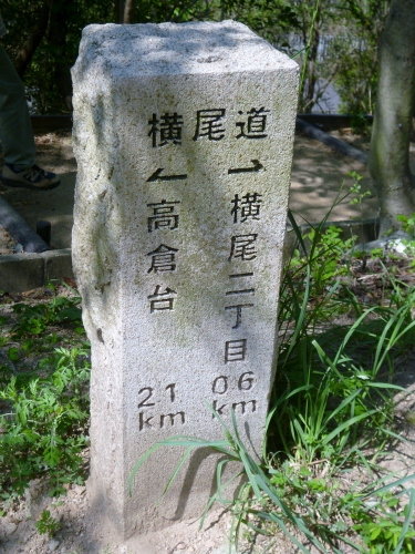 142 (375x500).jpg