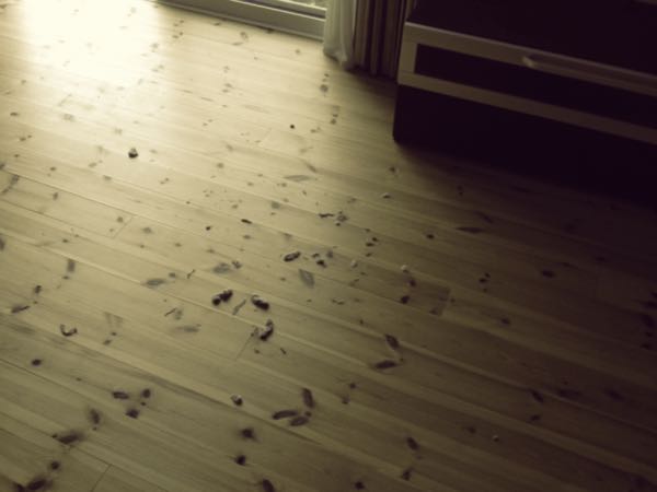 rblog-20150719054522-06.jpg