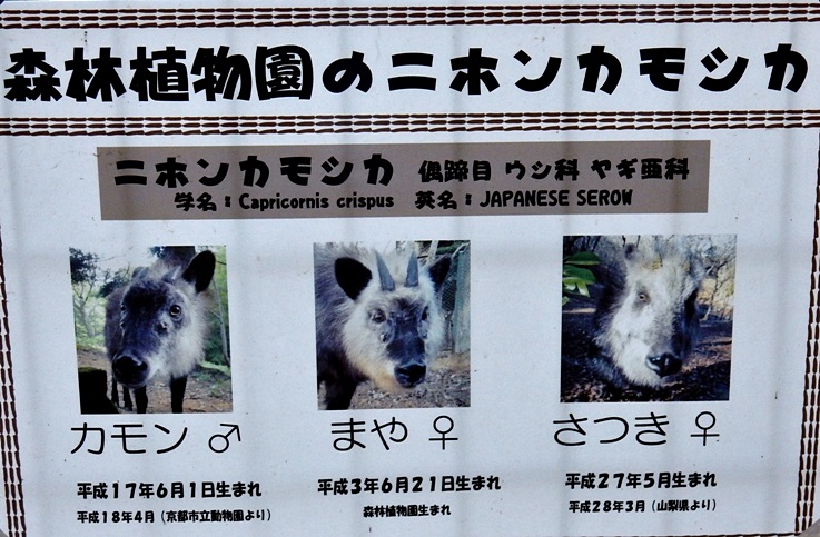 カモシカ園 出演者.JPG