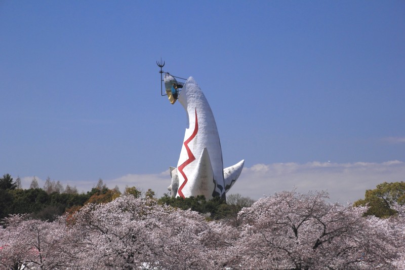 万博記念公園_004東の広場から塔遠望.jpg