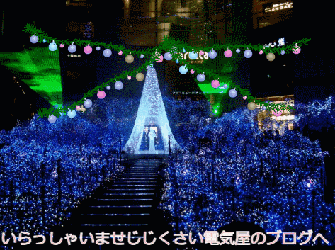 ハイビスカス冬はオレンジ色の花が咲く | じじくさい電気屋のブログ - 楽天ブログ