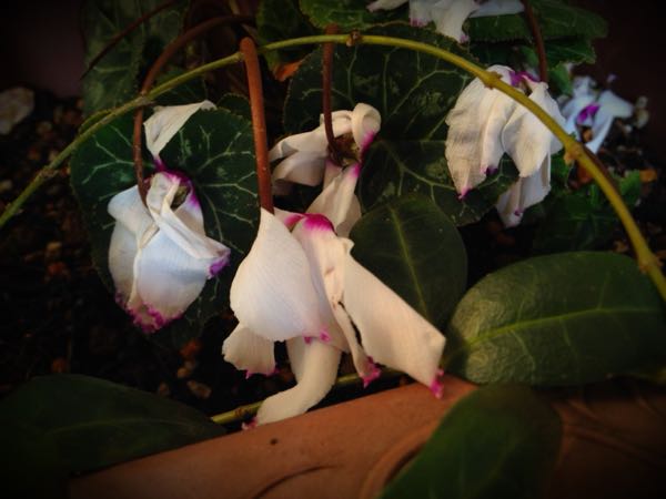 rblog-20141231135913-03.jpg