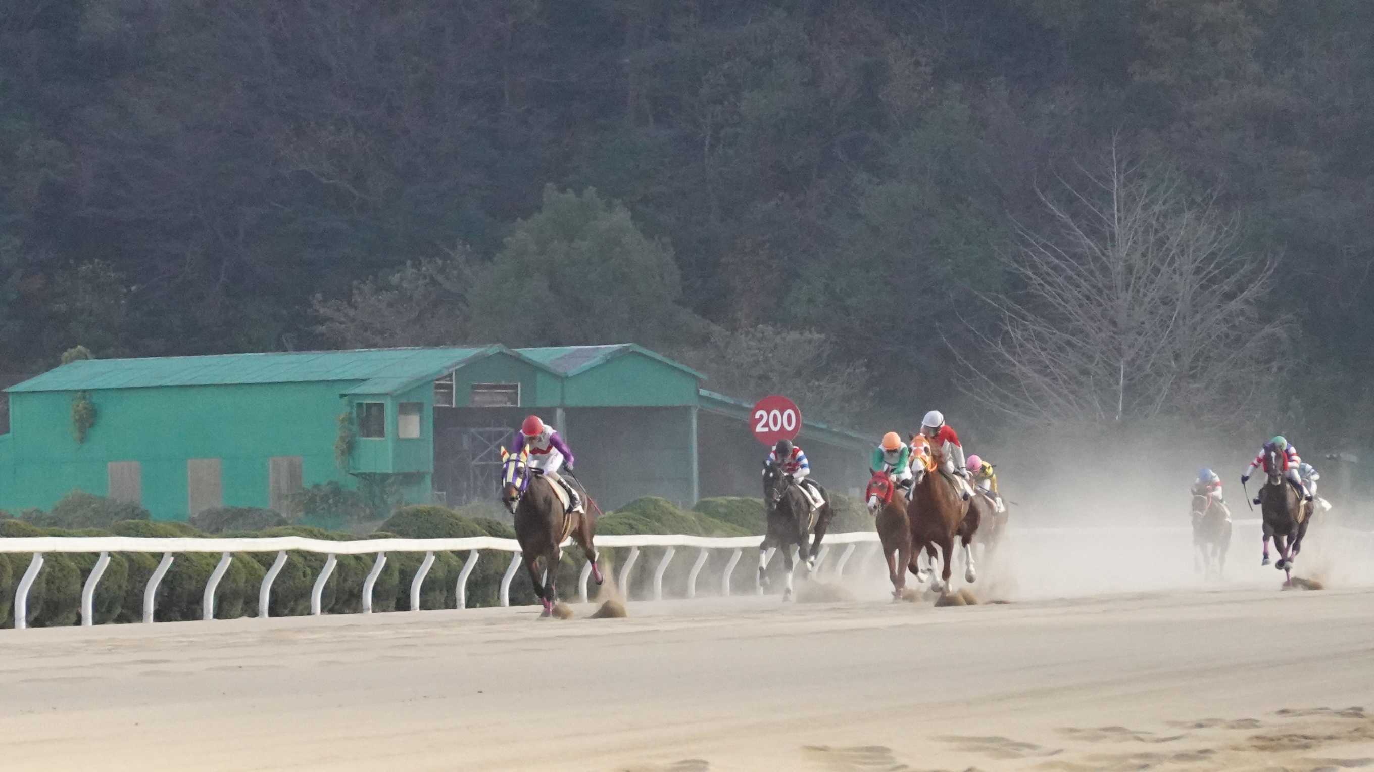 19ページ目の記事一覧 地方競馬の楽天競馬 日替わりライターブログ 楽天ブログ