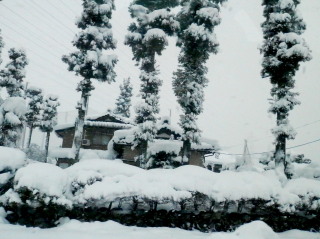 雪景色　1.3　2015　