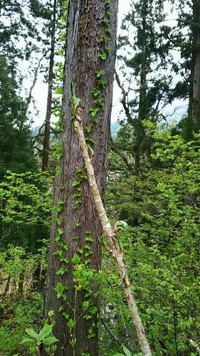 rblog-20180430083908-02.jpg
