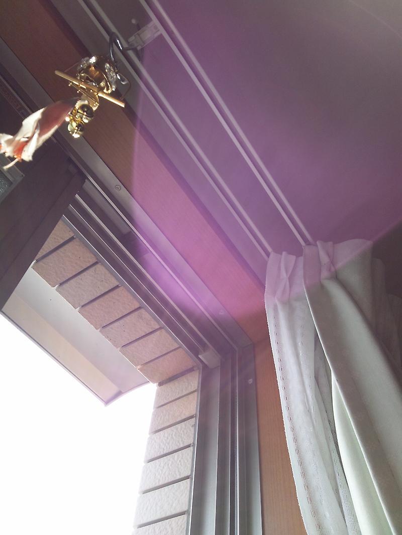 o0800106612739804625.jpg