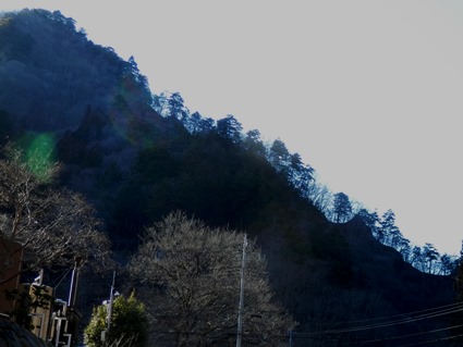 P3040023父子愚な景色ブログ.jpg