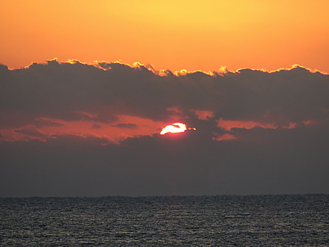 IMG_0798.jpg