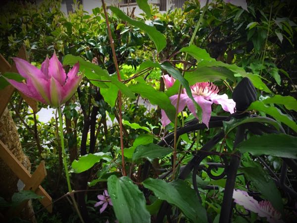 rblog-20160428173823-02.jpg