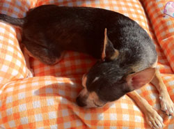 20121027ﾗｯｸﾝa