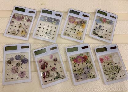 花乙女コレクション【押し花額　阿部とも　押し花・シャボン玉】 花乙女コレクション【押し花額 阿部とも 押し花・シャボン玉