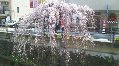 DSC_0905.jpg