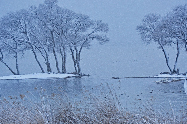 雪６