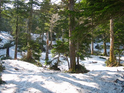登山道が消え　雪原が広がる
