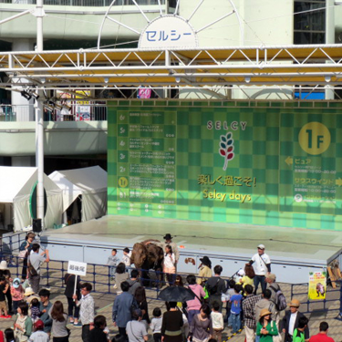 千中セルシー20140506_03.png