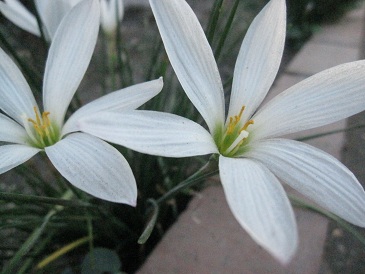 IMG_9742.JPG