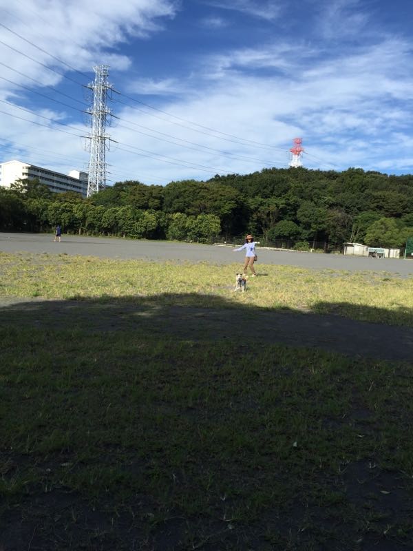 rblog-20161007015654-03.jpg