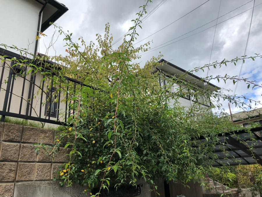 rblog-20181007161527-03.jpg