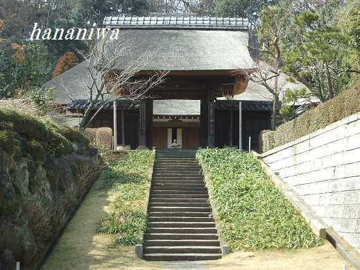 西方寺の山門１２０３２０.JPG