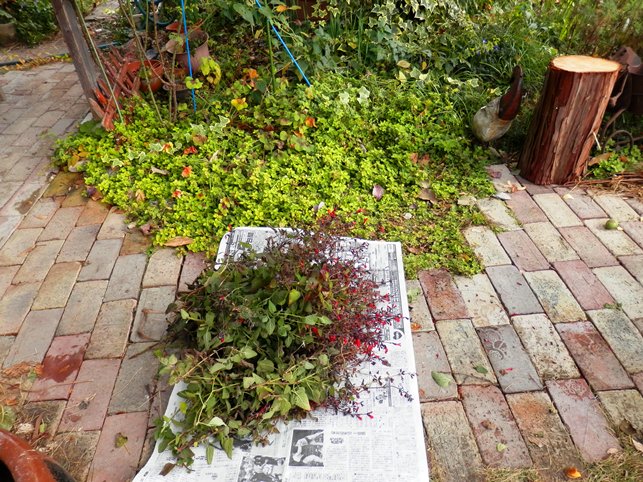 1202冬支度１.jpg