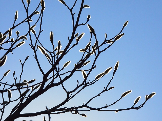 P1030274.jpg