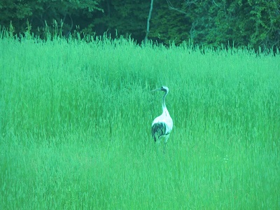 摩周湖04