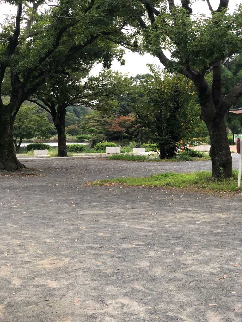 フーパスペシャルリサーチ ポケ活 楽天ブログ