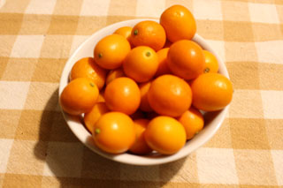 5563.jpg
