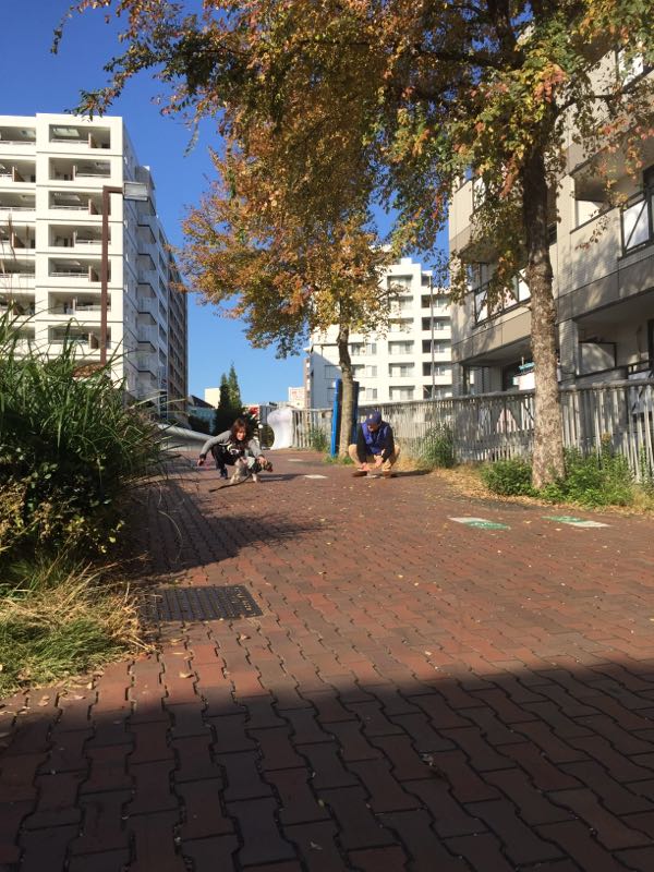rblog-20161107004346-02.jpg
