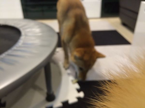rblog-20160210021055-01.jpg