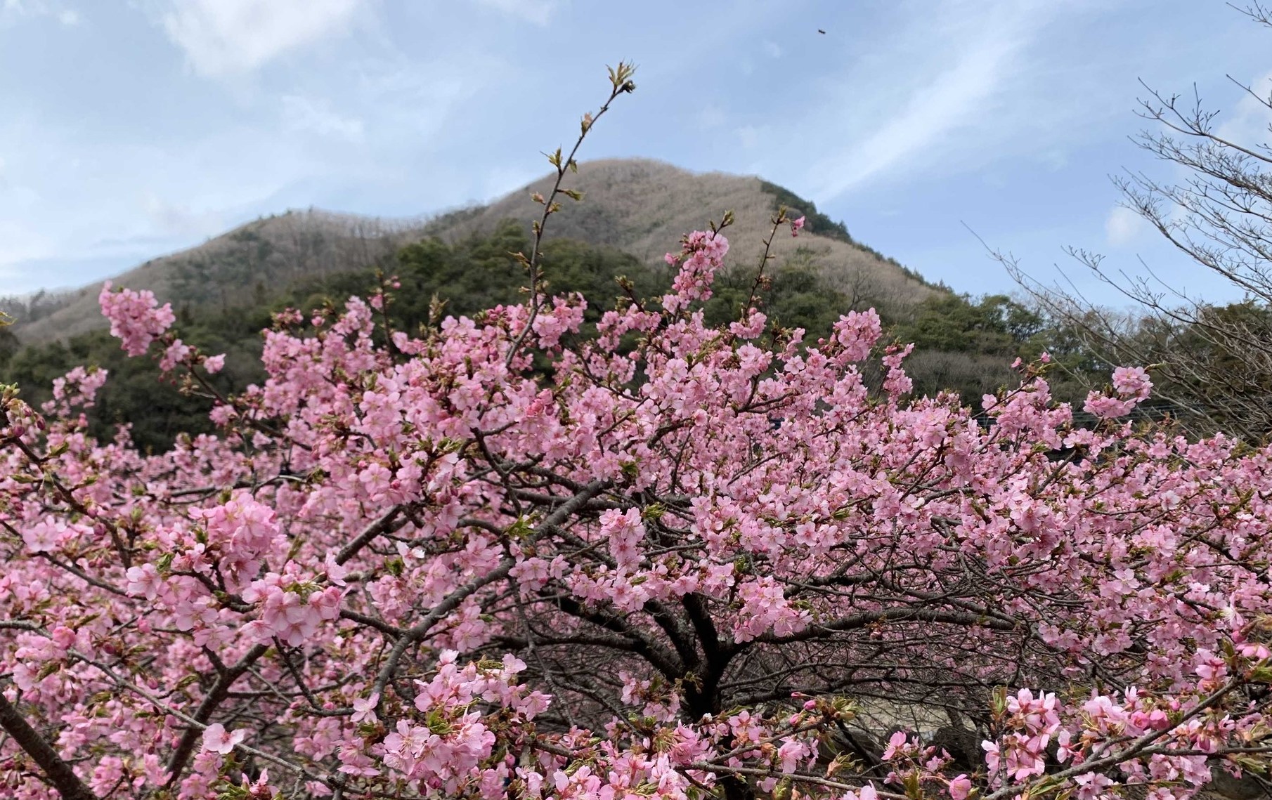 醍醐山と下部（しもべ）温泉