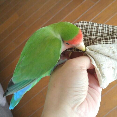 rblog-20160923232928-01.jpg