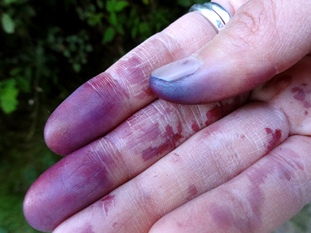 hand