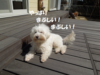 まぶしい２