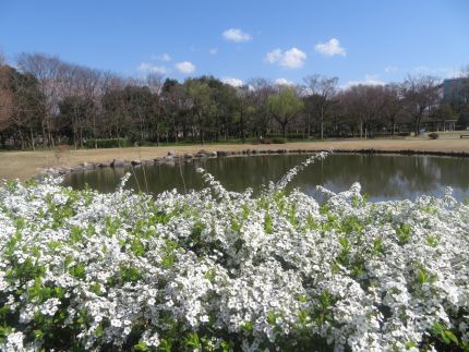 IMG_0820.JPG