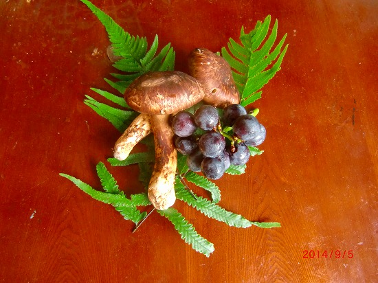 秋の美味しい恵み 010.jpg