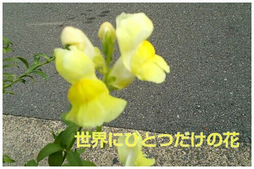 rblog-20161029122807-00.jpg