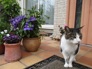 IMG_0526ss.jpg