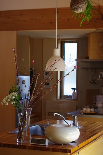 IMGP8884.JPG
