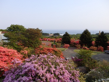 駐車場から見た風景
