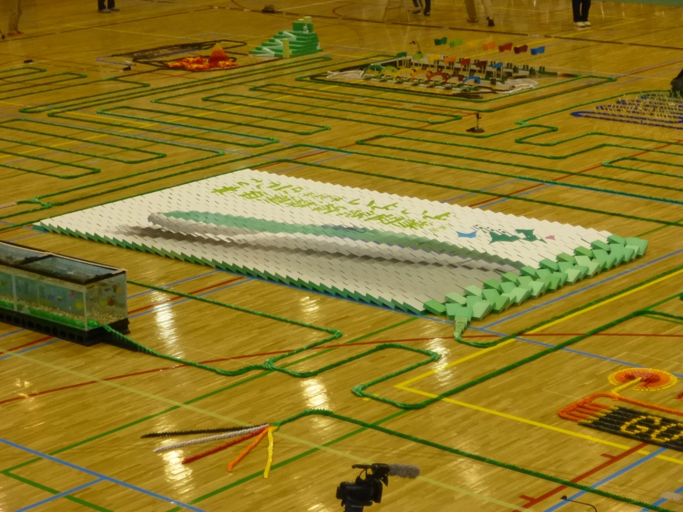 domino4