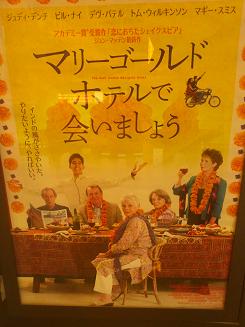 130322サクラとマリーゴールド 001.jpg