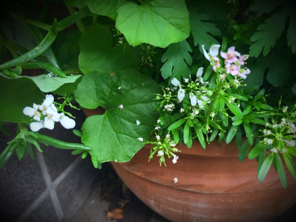rblog-20160427174731-04.jpg