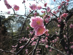 s-20120311 (4).jpg