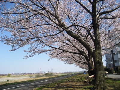 是政橋120408.jpg
