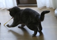 5DA_5994-7.jpg