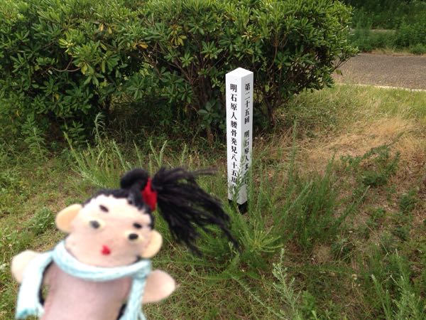 rblog-20180822121026-04.jpg