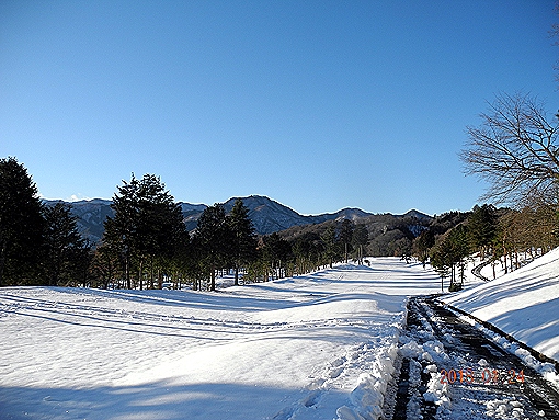 DSCN7100-2.jpg