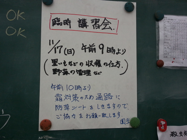 20131110黒板2.jpg