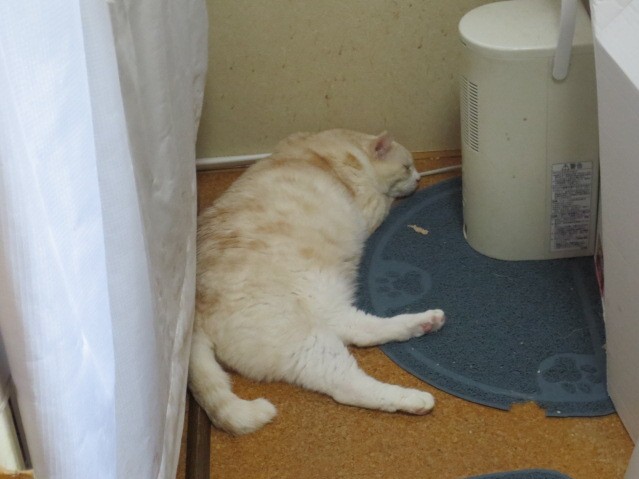 無題-24bitカラー-06.jpg